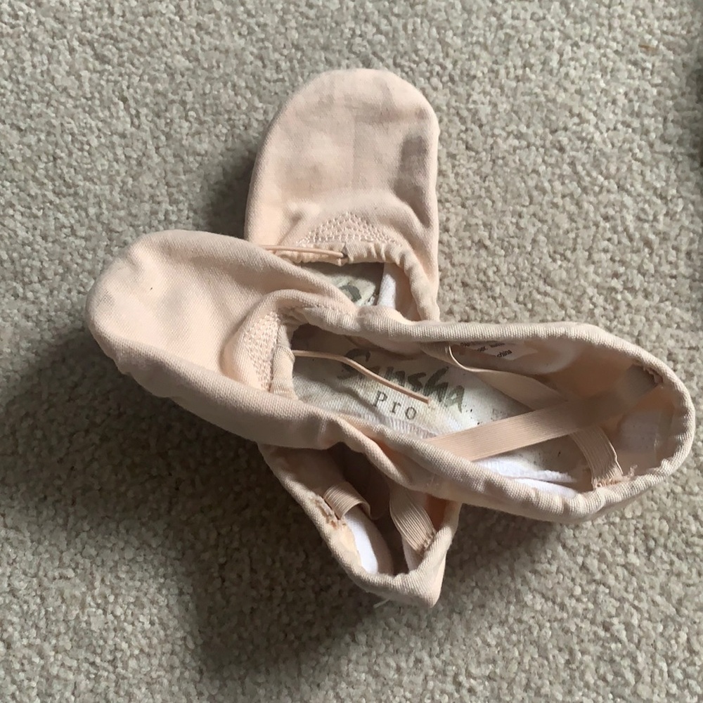 These are a used pair of Sansha Pro canvas ballet shoes.
